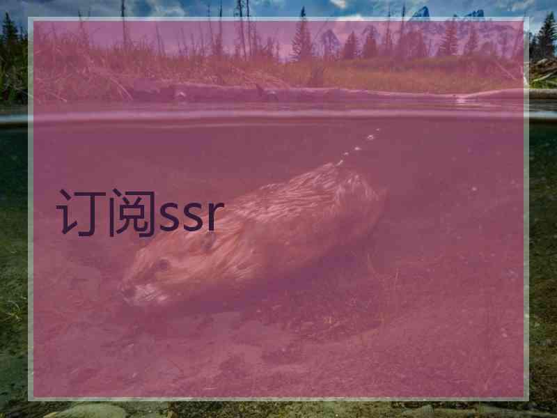 订阅ssr