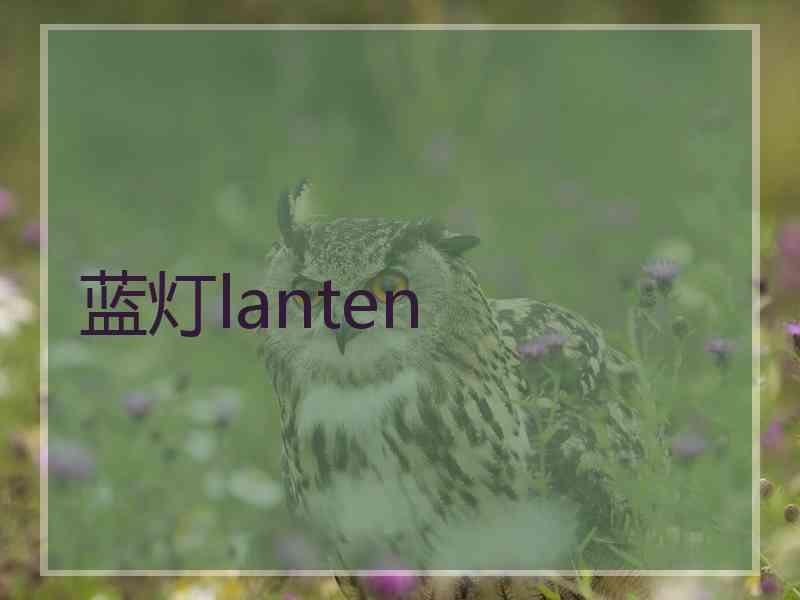 蓝灯lanten