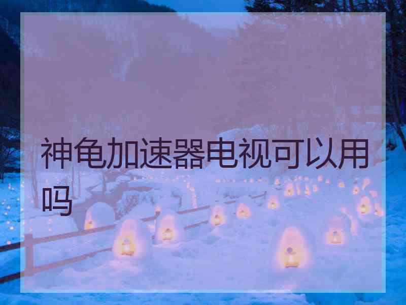 神龟加速器电视可以用吗