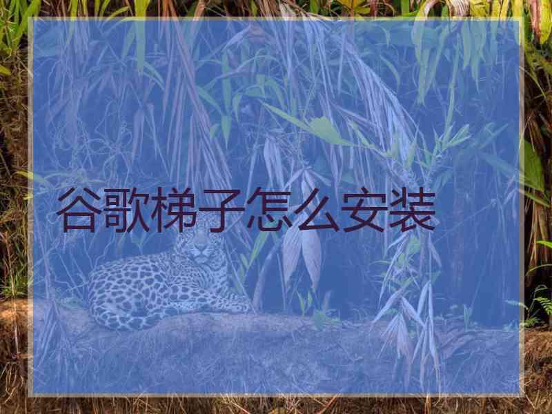 谷歌梯子怎么安装