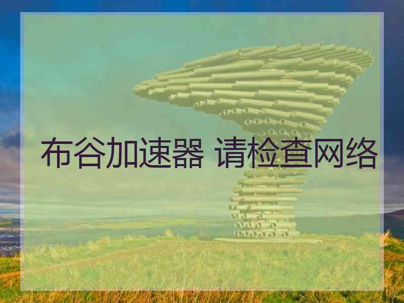 布谷加速器 请检查网络