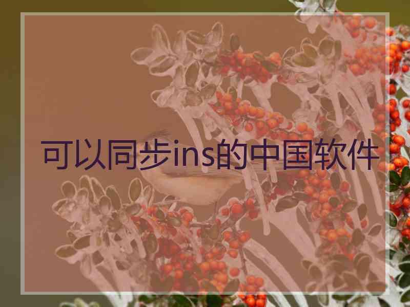 可以同步ins的中国软件