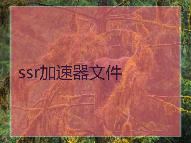 ssr加速器文件