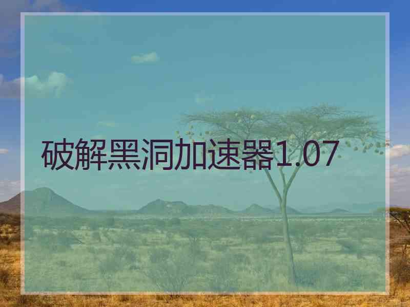 破解黑洞加速器1.07