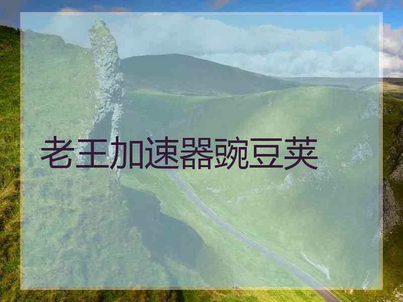 老王加速器豌豆荚
