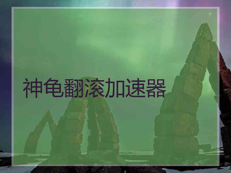 神龟翻滚加速器