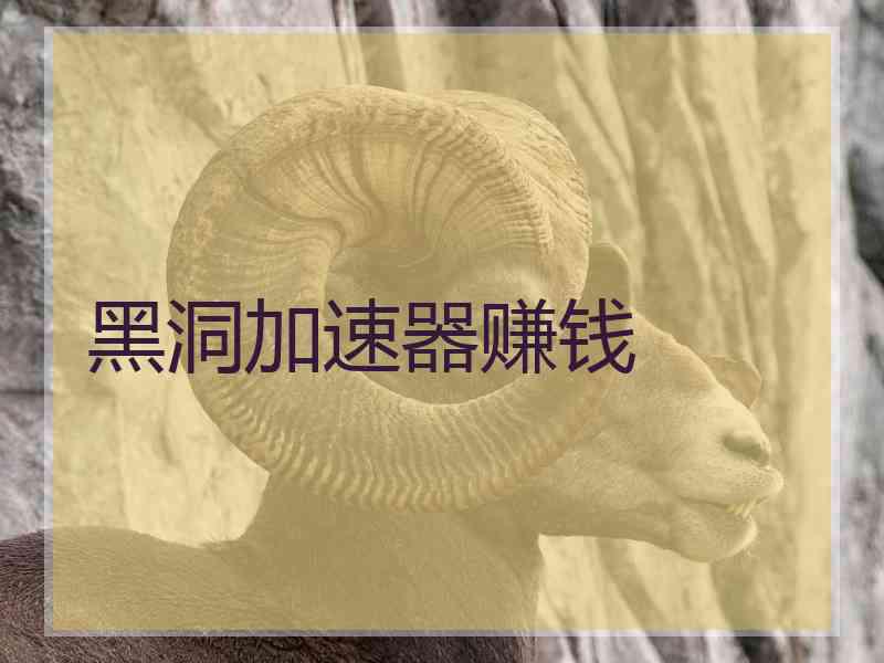 黑洞加速器赚钱
