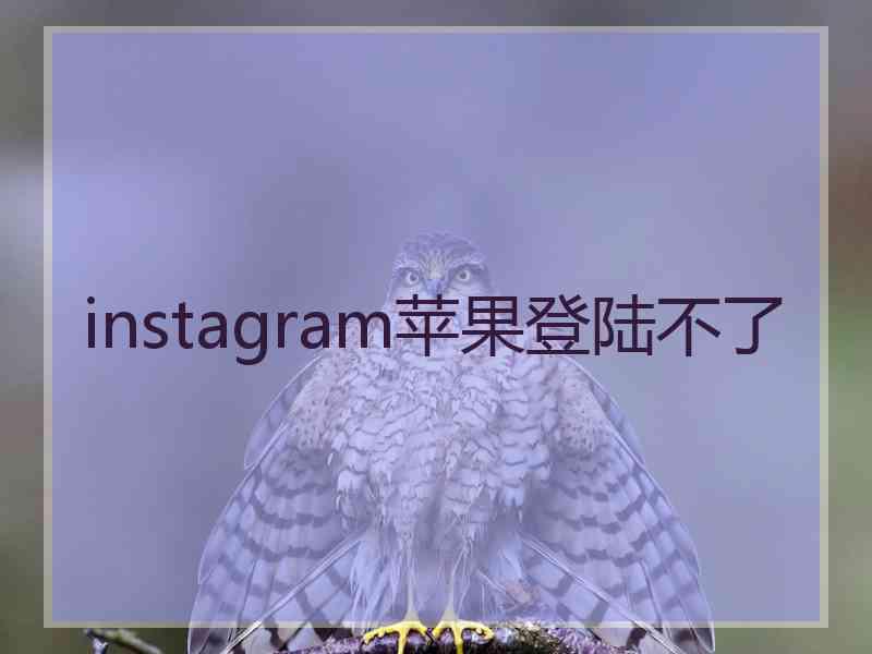 instagram苹果登陆不了