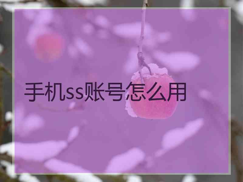 手机ss账号怎么用