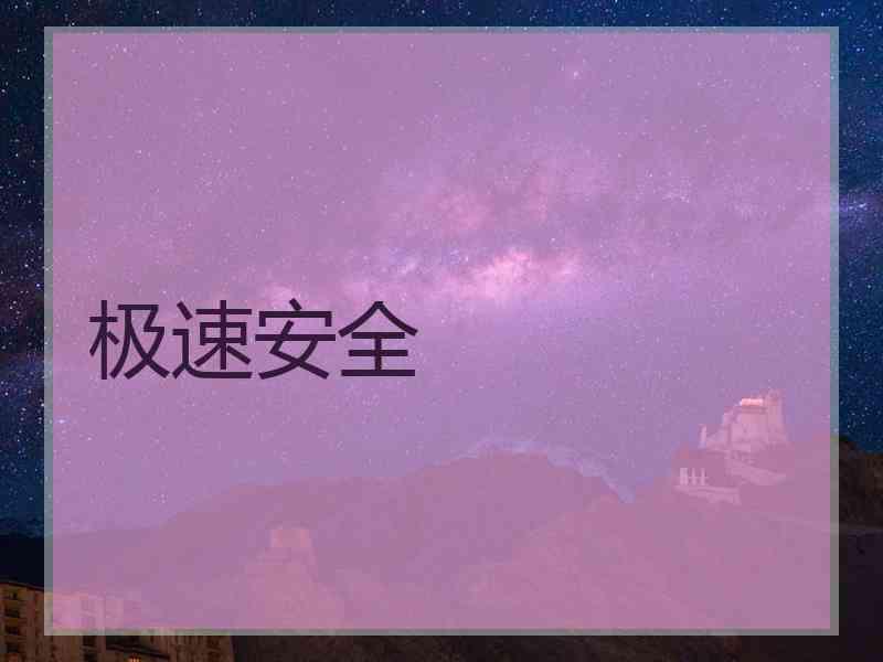 极速安全