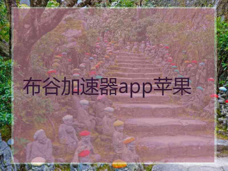 布谷加速器app苹果