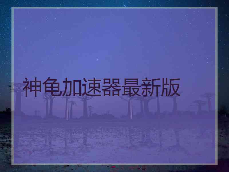 神龟加速器最新版