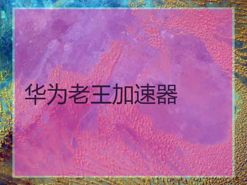 华为老王加速器