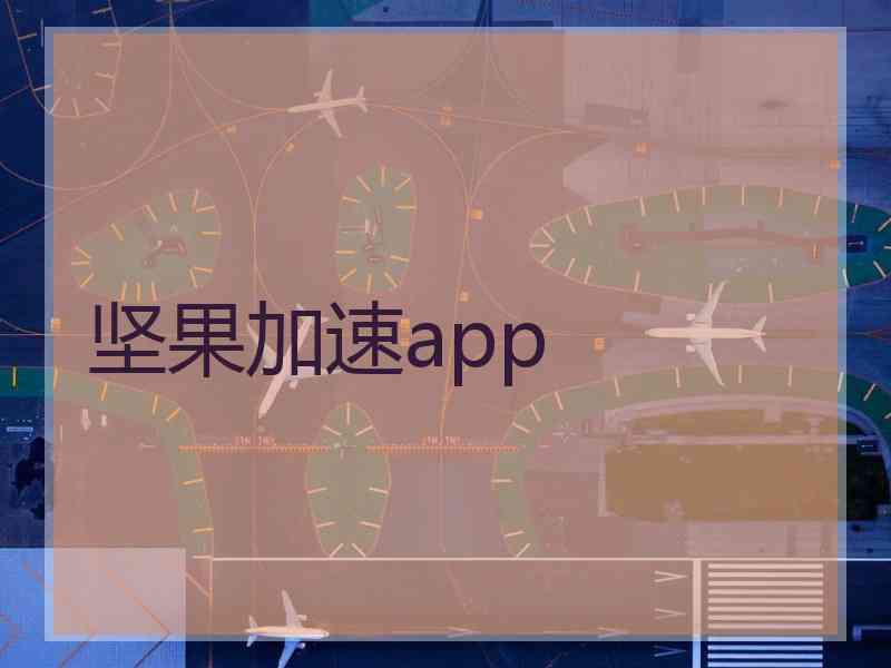 坚果加速app
