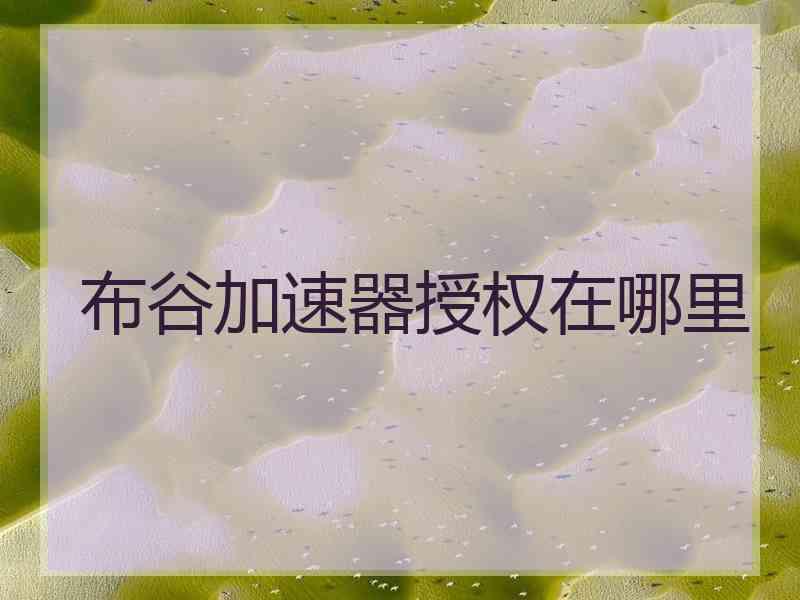 布谷加速器授权在哪里