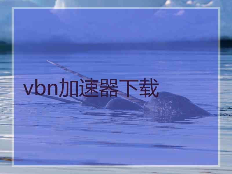 vbn加速器下载