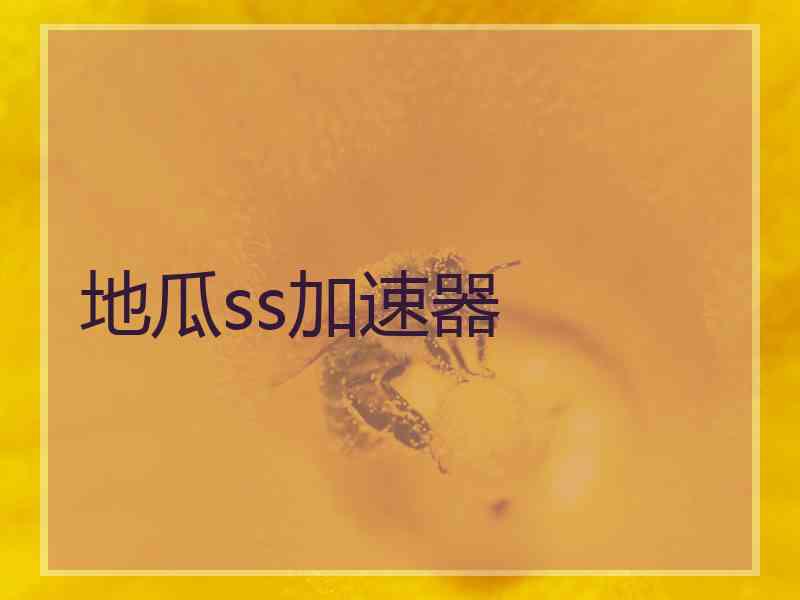 地瓜ss加速器