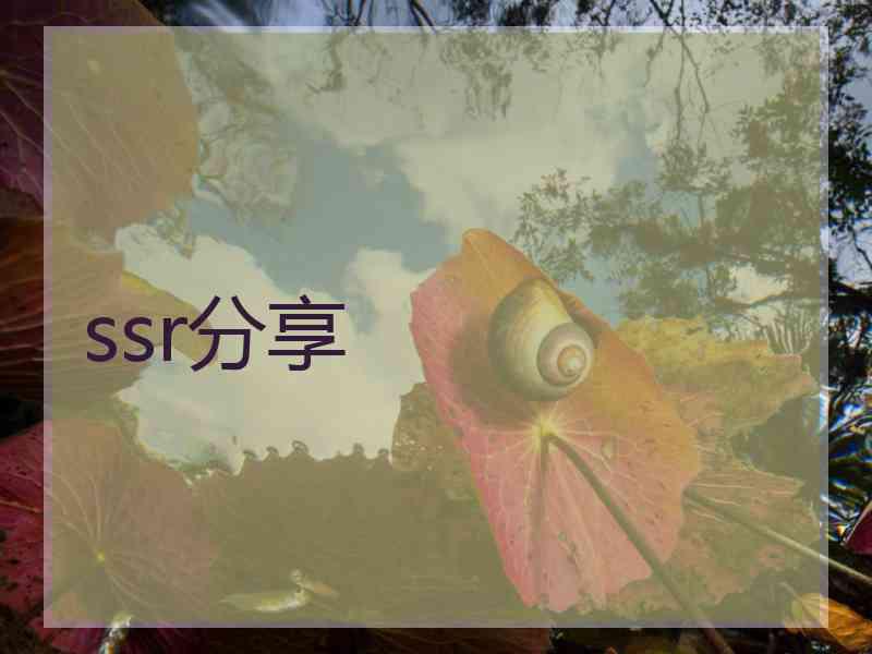 ssr分享