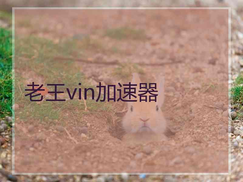 老王vin加速器