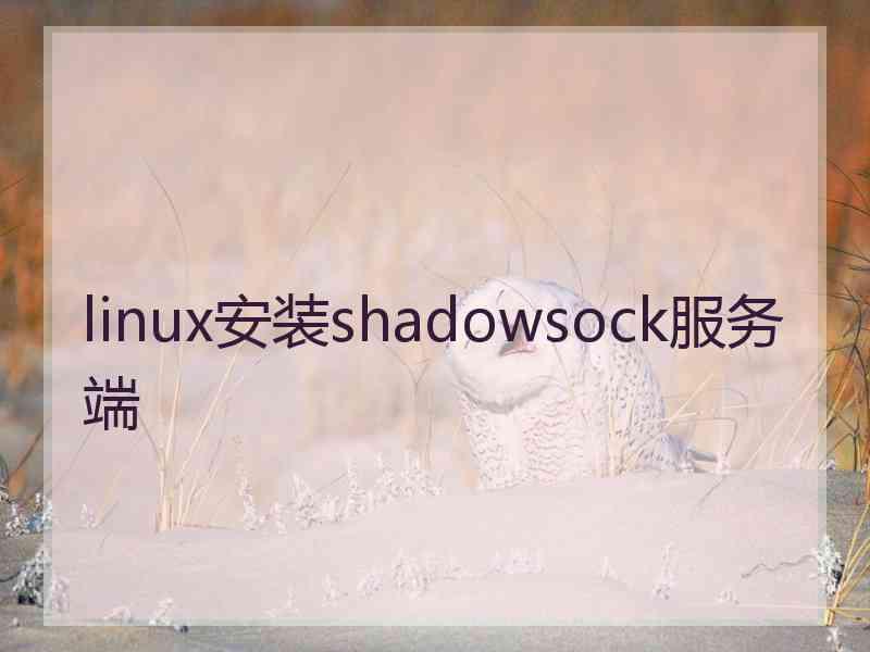 linux安装shadowsock服务端