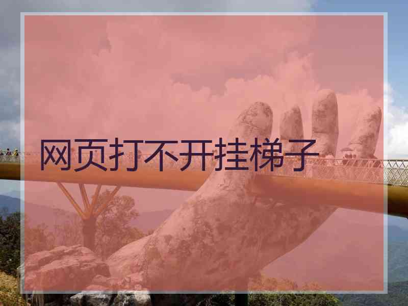 网页打不开挂梯子