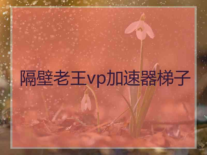 隔壁老王vp加速器梯子