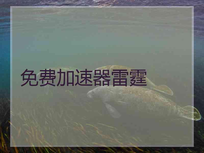 免费加速器雷霆