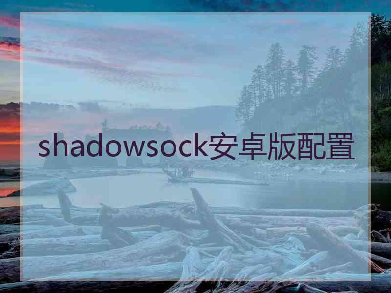 shadowsock安卓版配置