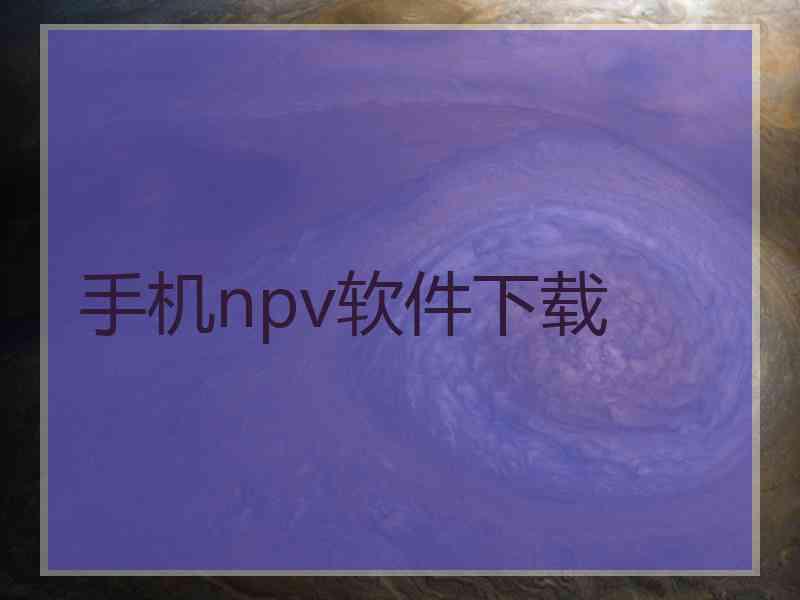手机npv软件下载