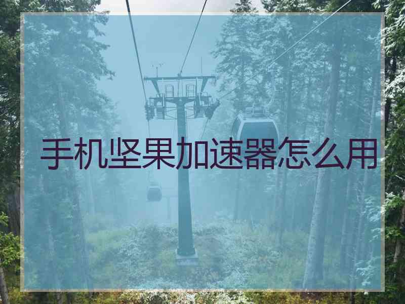 手机坚果加速器怎么用