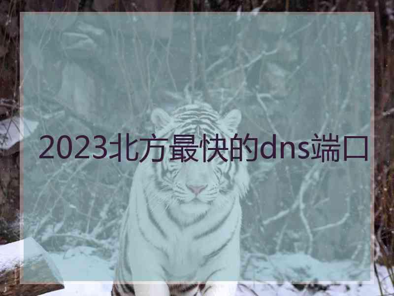 2023北方最快的dns端口