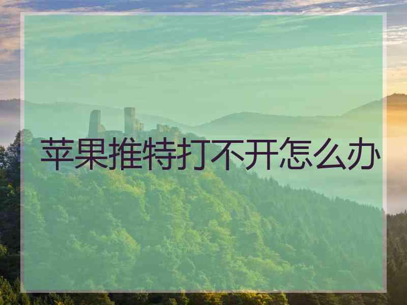 苹果推特打不开怎么办