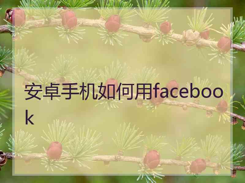 安卓手机如何用facebook