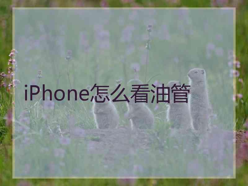 iPhone怎么看油管