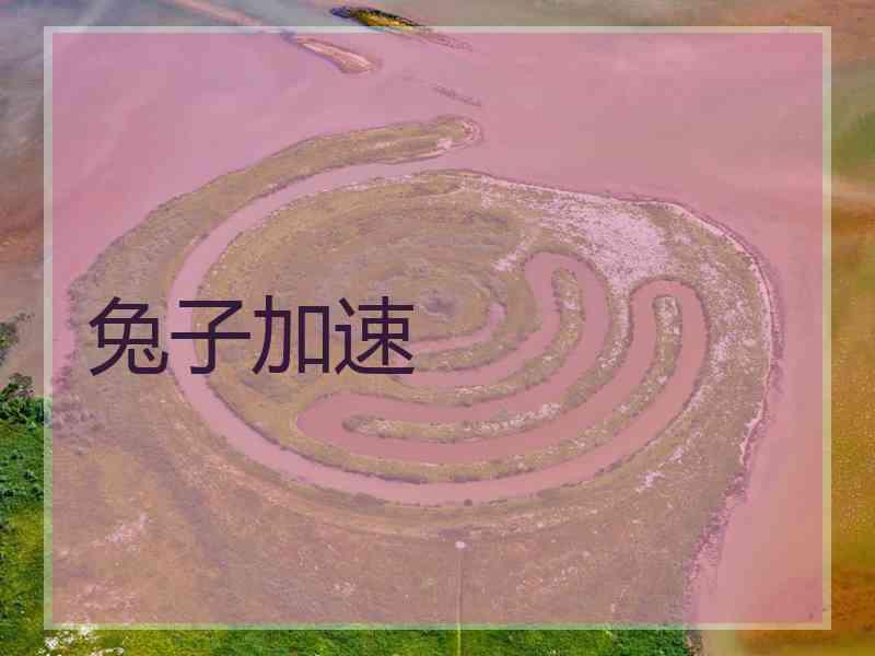兔子加速