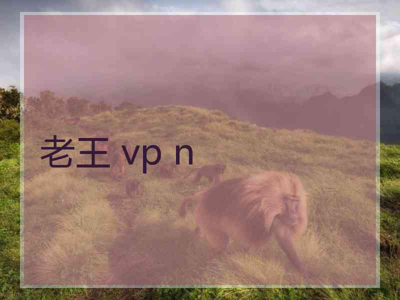 老王 vp n