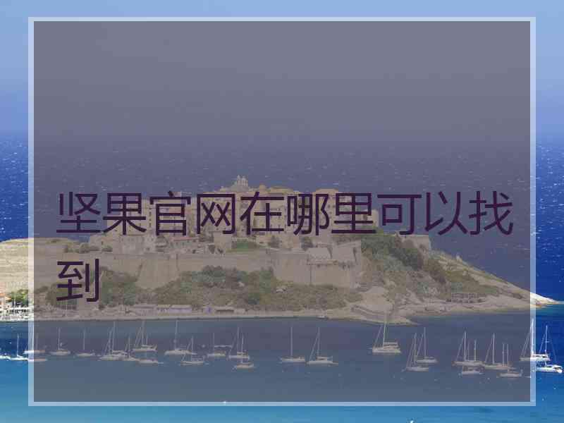坚果官网在哪里可以找到