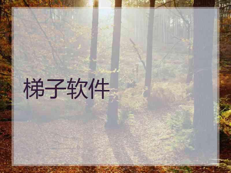 梯子软件