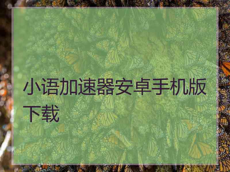小语加速器安卓手机版下载