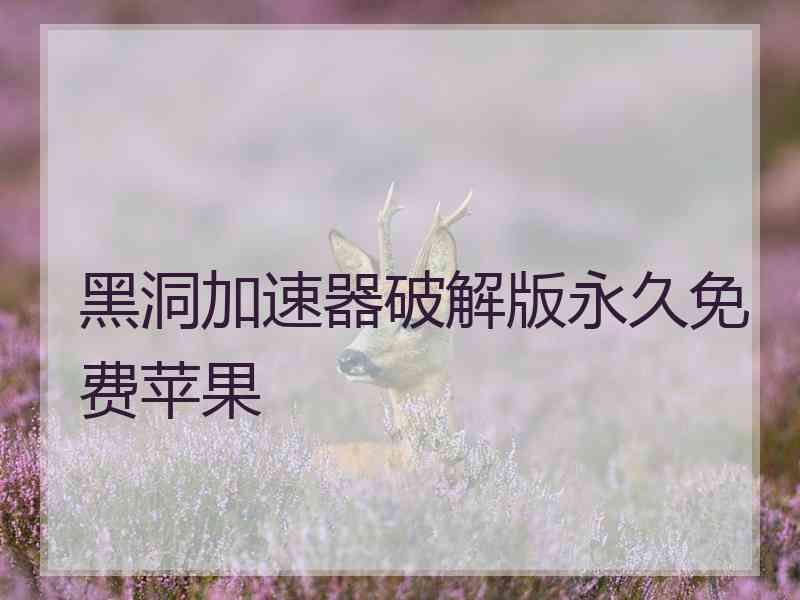 黑洞加速器破解版永久免费苹果