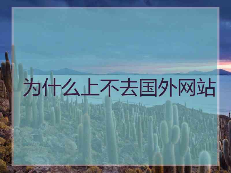 为什么上不去国外网站