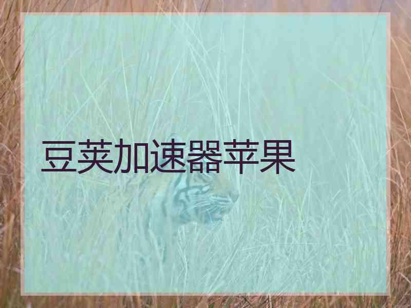 豆荚加速器苹果