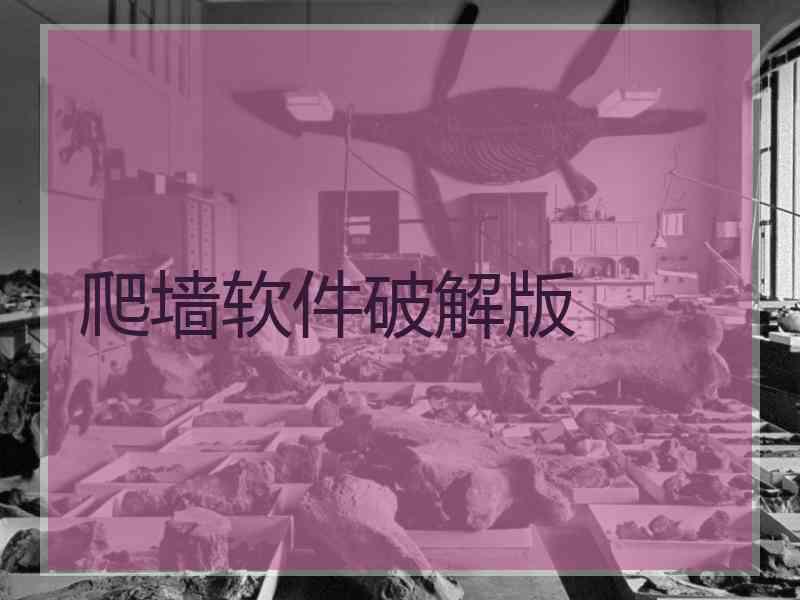 爬墙软件破解版