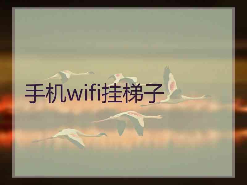 手机wifi挂梯子