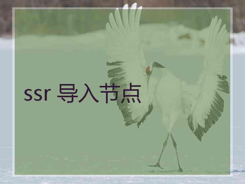 ssr 导入节点