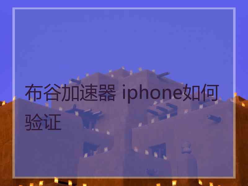 布谷加速器 iphone如何验证