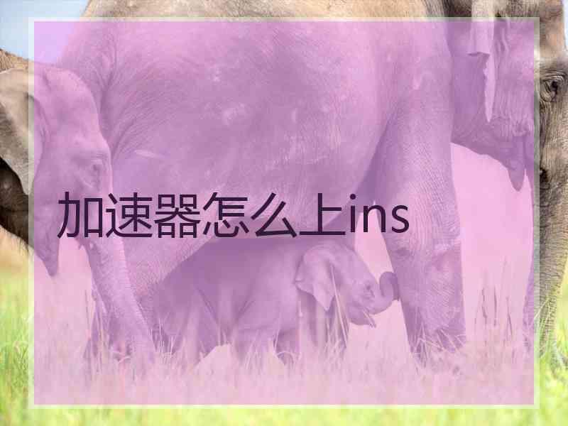 加速器怎么上ins