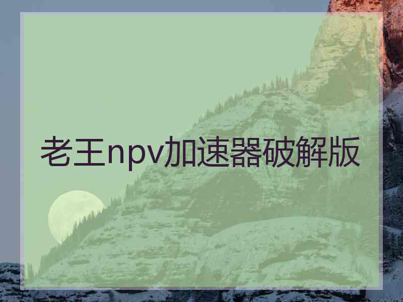 老王npv加速器破解版