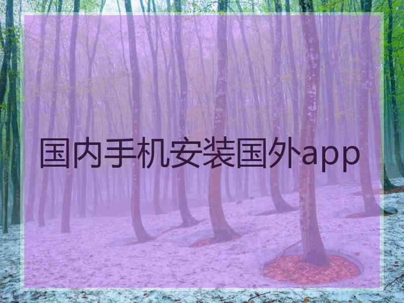 国内手机安装国外app