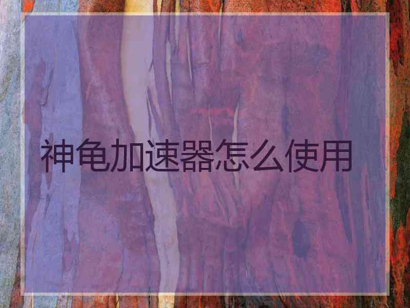 神龟加速器怎么使用